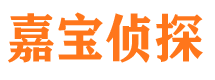 阆中寻人公司